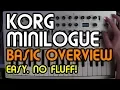 Basic Overview Korg Minilogue Synth Tutorial