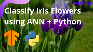 Neural Network for Beginners with Iris Flower Classification Tec4Tric