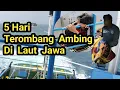 Lagu 5 Hari Terombang Ambing Di Laut Jawa Akibat Cuaca Buruk