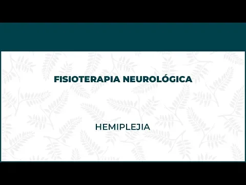 Hemiplejia. Fisioterapia Neurológica - FisioClinics Bilbao, Bilbo