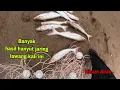 Download Lagu HANYUT JARING LAWANG,HASILNYA  SANGAT BANYAK
