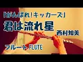 Download Lagu 【がんばれ!キッカーズ】君は流れ星/西村知美【フルートで演奏してみた】Ganbare!Kickers \