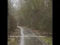 Calming Daybreak Rain Sound
