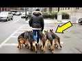 Download Lagu Pria Jalan Setiap Pagi dengan Anjingnya, Sampai Orang Tahu Rahasia Luar Biasa yang Ia Sembunyikan!