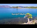 لطيفة التونسية . بحب في غرامك . مع كلمات الاغنية . من نوفلن البناء