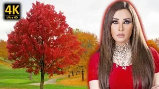 لطيفة التونسية بحب في غرامك مع كلمات الاغنية من نوفلن البناء  لطيفة التونسية بحب في غرامك مع كلمات الاغنية من نوفلن البناء
