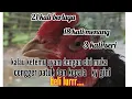 Download Lagu si tulang, ayam tehnik asor 18 kali win.. 3x seri