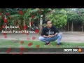 Download Lagu COCOTE TULUNG DI KONDISIKAN