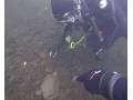 delaware drift dive 6 24