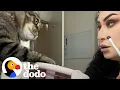 Cat Won t Stop Smacking His Mom The Dodo