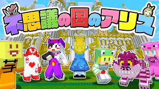 不思議の国に迷い込んだ...ここは...？【AMPTAKxCOLORS】【アンプタック】
