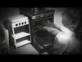 Lana Del Rey ⋆⁺₊❅. White Feather Hawk Tail Deer Hunter (Slowed & Reverb)