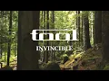 TOOL - INVINCIBLE // Guitar Cover + Tabs