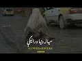 Download Lagu Syala Dunya wranege nan ya saba wranege|tiktok trinding song poshto new TikTok viral song karan khan