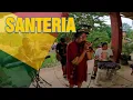 Download Lagu Sublime - Santeria | Tropavibes Reggae Cover