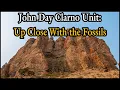 John Day Clarno Unit Up Close With the Fossils