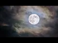 Kamasi Washington - Clair De Lune