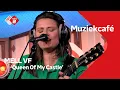 Download Lagu MELL VF - Queen Of My Castle | NPO Radio 2