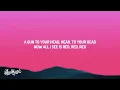 Everybody Loves An Outlaw - I See Red (Lyrics)