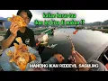 Download Lagu WALAU HAMA IKAN INI BISA DI MAKAN‼️ | memancing dan memasak ikan red devil saguling terbaru 