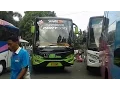 Lagu Om Telolet Om Bus Horn Compilation
