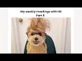 My weekly meetings with HR part 5