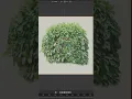 Download Lagu An easy blender 3D background bush