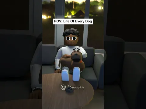 POV: Life Of Every Dog