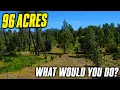 Could This Property Become Something Much Bigger 96 Acres in Redding CA