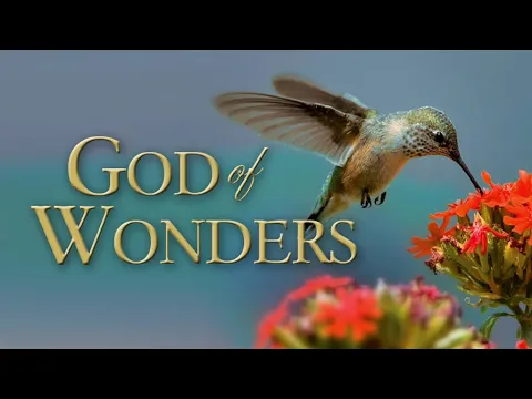 Download MP3 God of Wonders (2008) | Documentary | John Whitcomb | Dan Sheedy | Don B. DeYoung