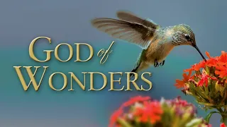 God Of Wonders 2008 Documentary John Whitcomb Dan Sheedy Don B DeYoung 