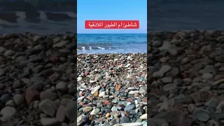 أصالة ارفع راسك فوق سوريا جنة السعودية سوريا مصر تركيا اكسبلور البحر 