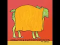 Fake Palindromes - Andrew Bird