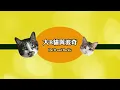 Anson Kong 江𤒹生 Alton Wong 王智德《Rebound》非Official Music Video ｜大B與波奇担當舞者嘅第一個快歌跳唱MV｜到底貓咪舞功有幾高強？