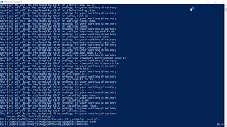 13 Creating the Angular App with the Angular CLI