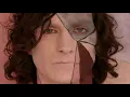 What Happened To Gotye