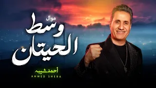 موال وسط الحيتان احمد شيبه 2024 عود ايدك تمسح خدك شعبى جديد 2024 