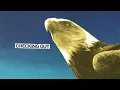Protomartyr - Checking Out (Official Audio)