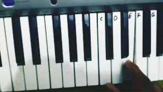 how to play premaruthi krupanidhi nadhipinchu sareeki on keyboard lessons and keys notation mt