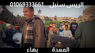 المزمار الغاب الريس سنبل دندنها