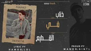 ذئاب في القطيع   تعيش حد دغري حتخسر كتير   حمو حتاتا   مهرجانات      دندنها