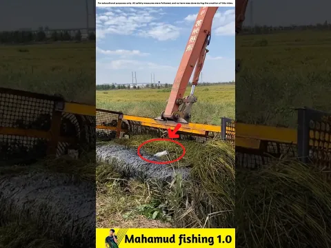 What Fish Did He Find in the Canal in the Morning🐟#viralvideo #facts #fishinggear #fishinglife #fish