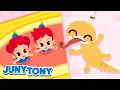 Download Lagu Cicak the Lizard 🦎 Gecko Song | Nursery Rhymes | Cicak-Cicak di Dinding | JunyTony