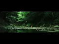 【自然音/ASMR】森林浴｜心地よく眠れる自然の音｜川のせせらぎ・焚き火・鳥のさえずり｜勉強・睡眠BGM｜Nature Sounds