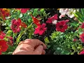 Why We Chose Rubber Mulch Instead of Traditional Mulch