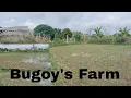 Download Lagu Province life! Nakapagtanim na kami ng palay sa Bugoy's farm, thank you our God!
