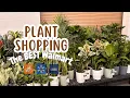 Big Box Plant Shopping 2026 2x Walmart Lowe s Home Depot