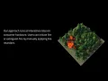 Fire in Paradise Mesoscale Simulation of Wildfires