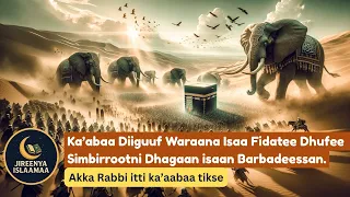 Ka Abaa Diigna Jedhanii Dhufanii Marga Alanfatamee Tufame Ta An 