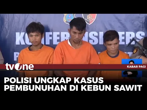 Kerangka Manusia Ditemukan di Kebun Sawit di Tapanuli Selatan, Korban Dianiaya Hingga Ditembak